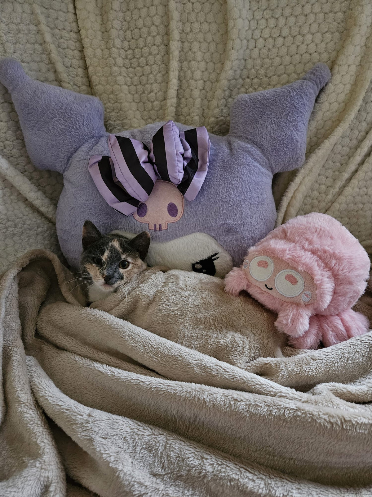 Yuumi